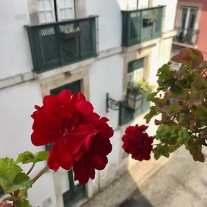  Apartment In The Heart Of